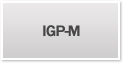 IGP-M